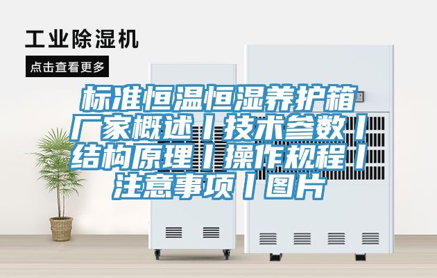 標準恒溫恒濕養(yǎng)護箱廠家概述丨技術參數(shù)丨結(jié)構原理丨操作規(guī)程丨注意事項丨圖片