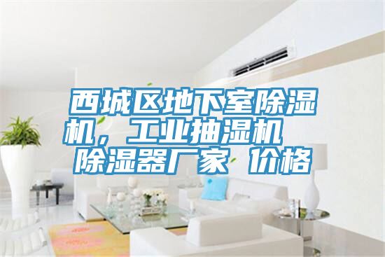 西城区地下室除湿机，工业抽湿机  除湿器厂家 价格