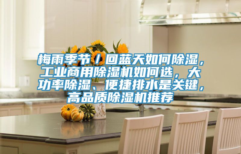 梅雨季节／回蓝天如何除湿，工业商用除湿机如何选，大功率除湿、便捷排水是关键，高品质除湿机推荐