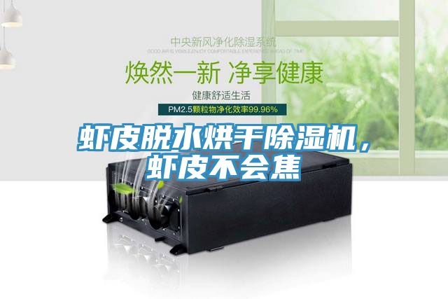 虾皮脱水烘干除湿机，虾皮不会焦
