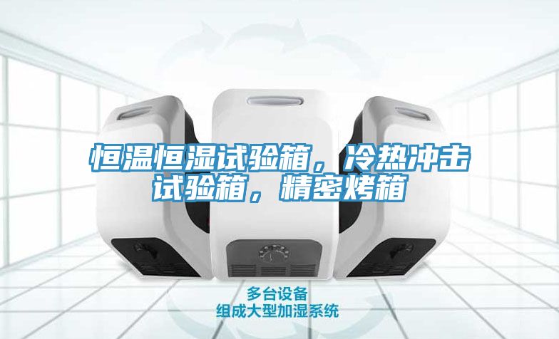 恒温恒湿试验箱，冷热冲击试验箱，精密烤箱