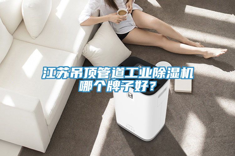江苏吊顶管道工业除湿机哪个牌子好？