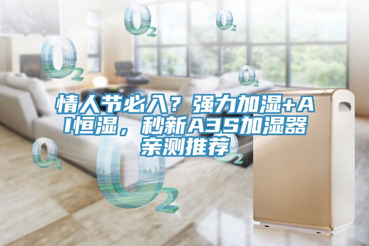 情人节必入？强力加湿+AI恒湿，秒新A3S加湿器亲测推荐