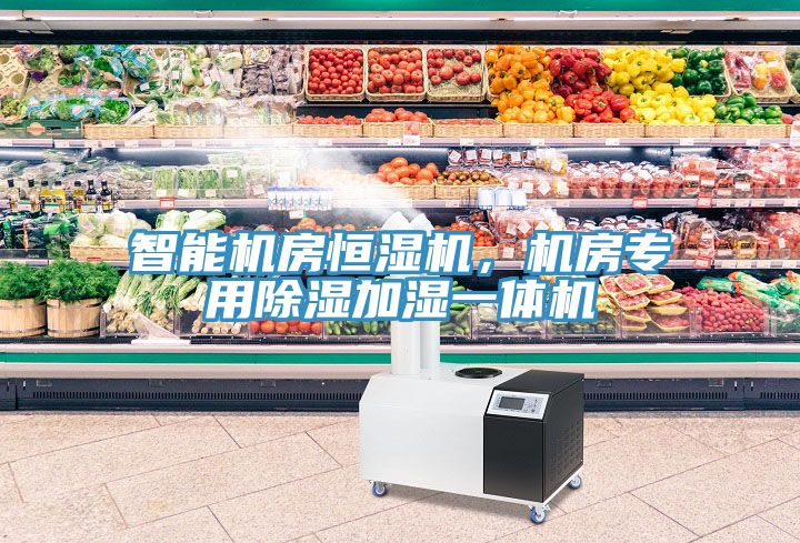 智能机房恒湿机，机房专用除湿加湿一体机
