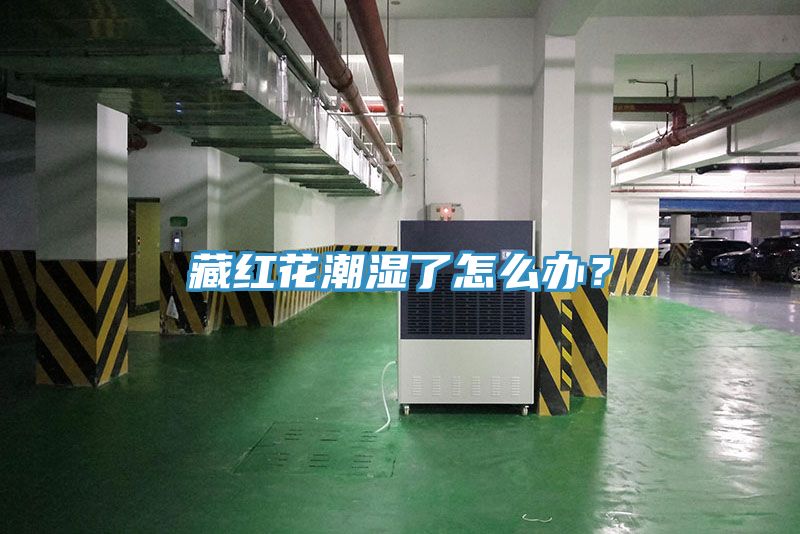 藏红花潮湿了怎么办？