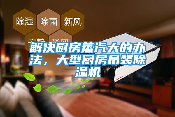 解决厨房蒸汽大的办法，大型厨房吊装除湿机