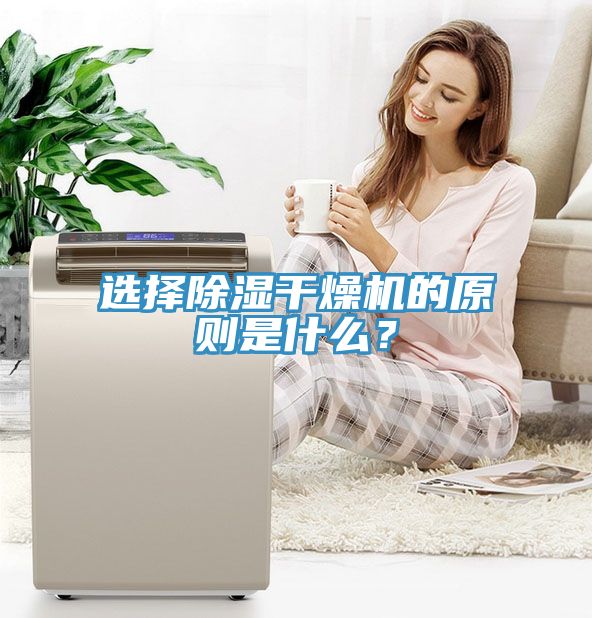 选择除湿干燥机的原则是什么？