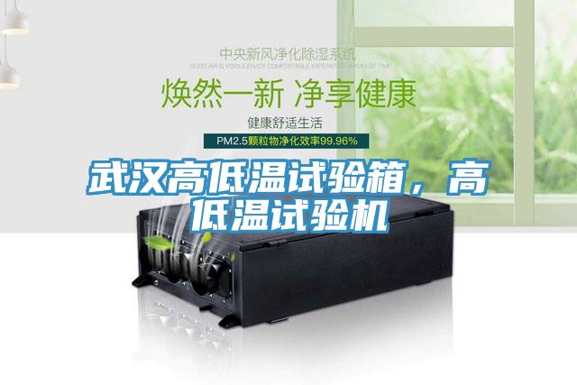 武汉高低温试验箱，高低温试验机