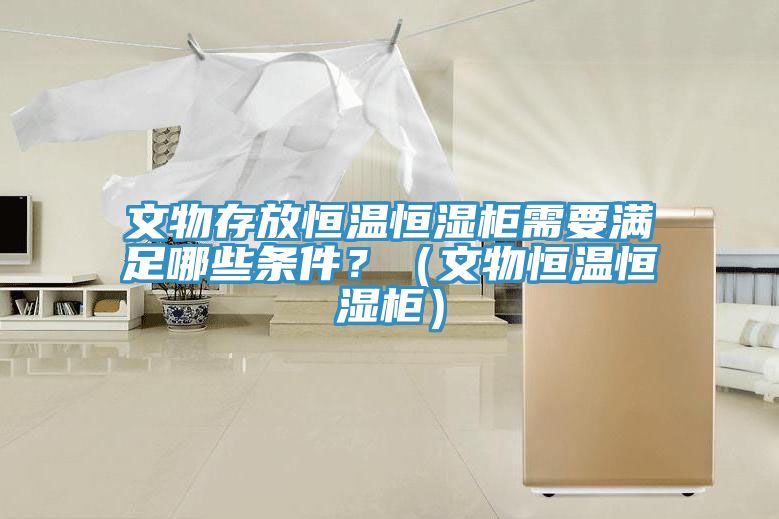 文物存放恒温恒湿柜需要满足哪些条件？（文物恒温恒湿柜）