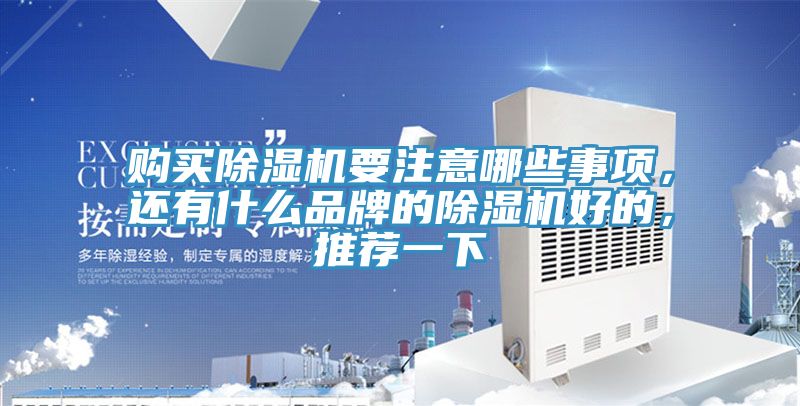购买除湿机要注意哪些事项，还有什么品牌的除湿机好的，推荐一下