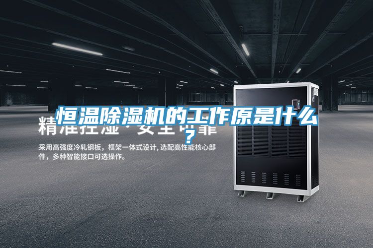 恒温除湿机的工作原是什么？