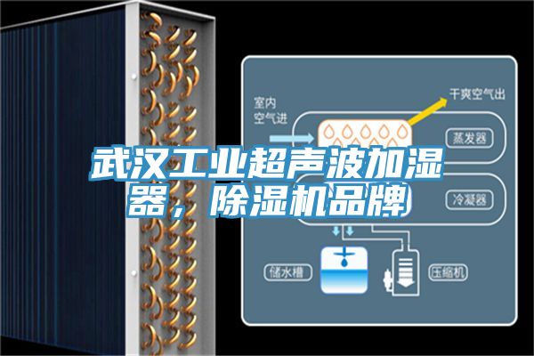 武汉工业超声波加湿器，除湿机品牌