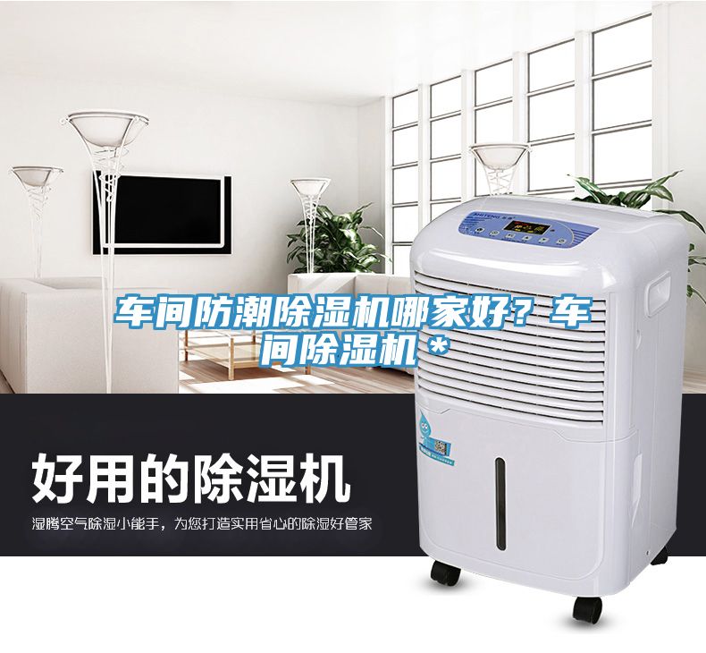 车间防潮除湿机哪家好？车间除湿机＊
