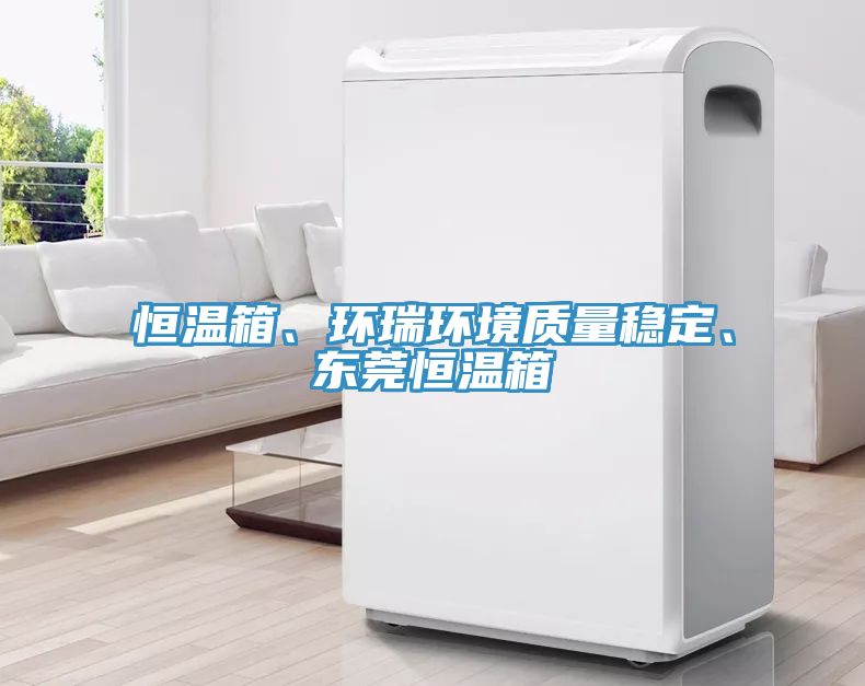 恒温箱、环瑞环境质量稳定、东莞恒温箱