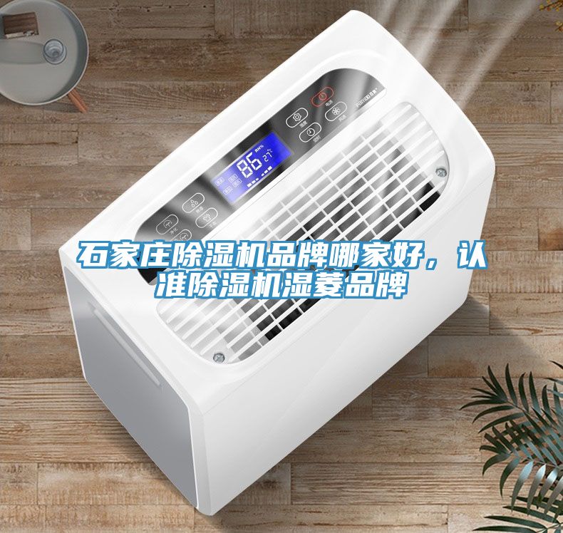 石家庄除湿机品牌哪家好，认准除湿机湿菱品牌