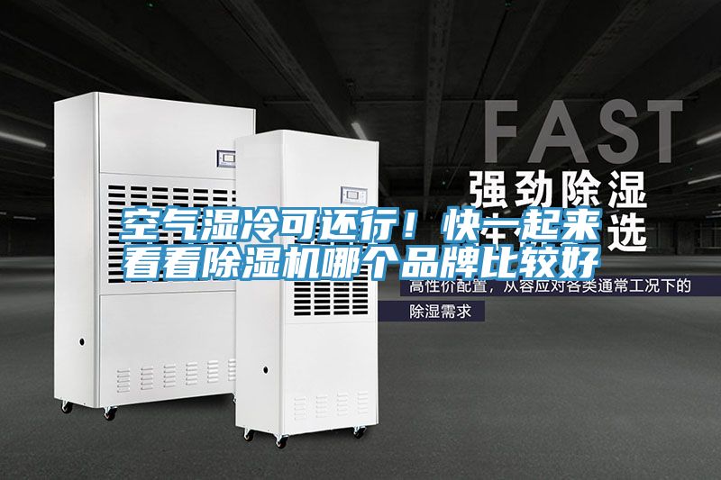 空气湿冷可还行！快一起来看看除湿机哪个品牌比较好