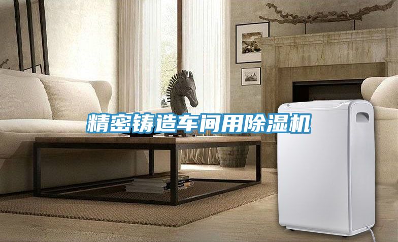精密铸造车间用除湿机