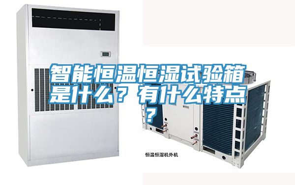 智能恒温恒湿试验箱是什么？有什么特点？
