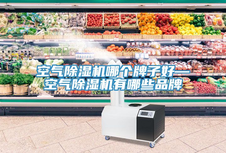 空气除湿机哪个牌子好—空气除湿机有哪些品牌