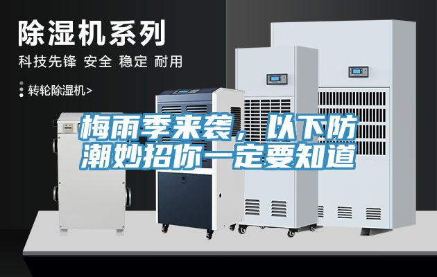 梅雨季来袭，以下防潮妙招你一定要知道