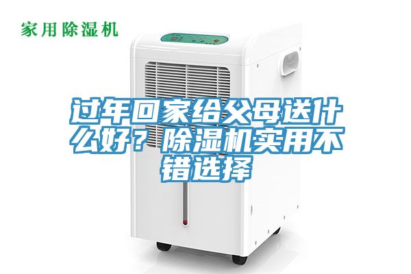 过年回家给父母送什么好？除湿机实用不错选择
