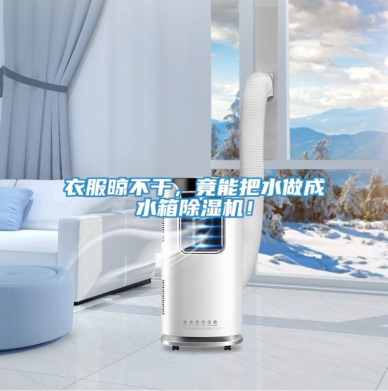 衣服晾不干，竟能把水做成水箱除湿机！