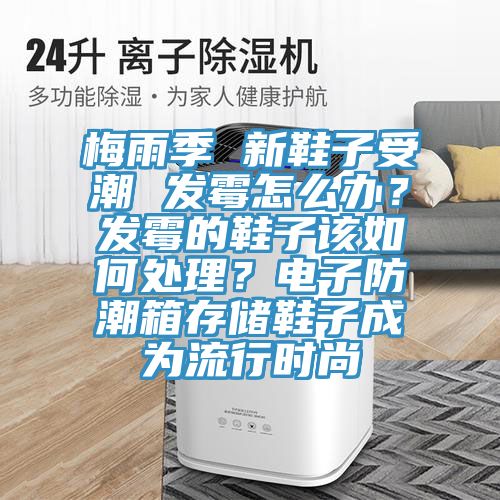 梅雨季 新鞋子受潮 发霉怎么办？发霉的鞋子该如何处理？电子防潮箱存储鞋子成为流行时尚
