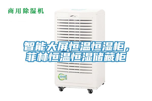 智能大屏恒温恒湿柜，菲林恒温恒湿储藏柜