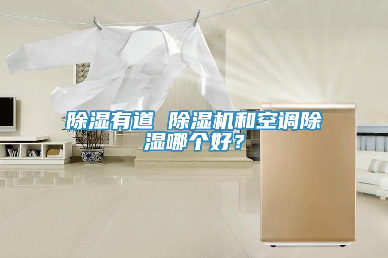 除湿有道 除湿机和空调除湿哪个好？