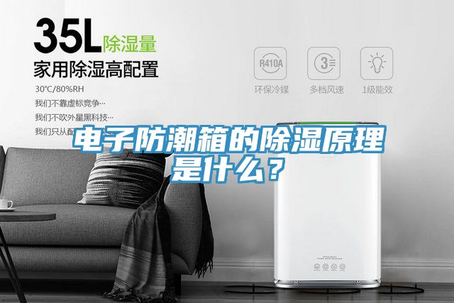 电子防潮箱的除湿原理是什么？