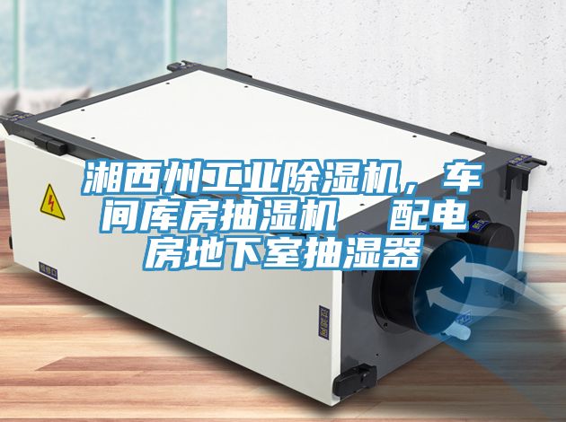 湘西州工业除湿机，车间库房抽湿机  配电房地下室抽湿器