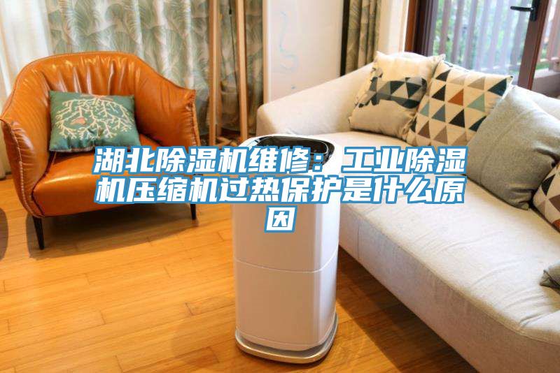 湖北除湿机维修：工业除湿机压缩机过热?；な鞘裁丛?></div>
								<div class=