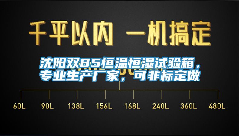 沈阳双85恒温恒湿试验箱，专业生产厂家，可非标定做