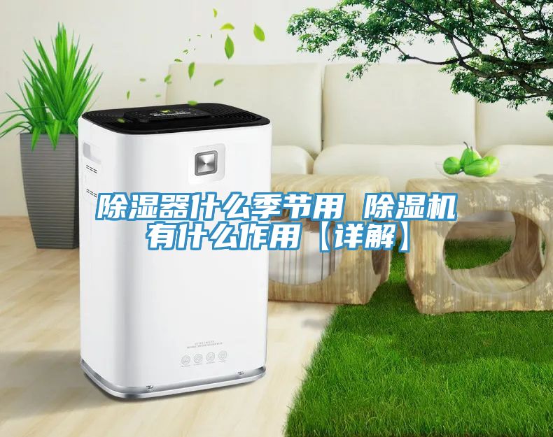 除湿器什么季节用 除湿机有什么作用【详解】