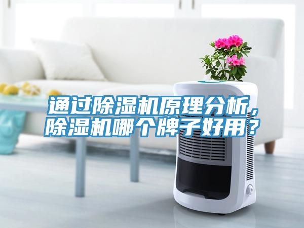 通过除湿机原理分析，除湿机哪个牌子好用？