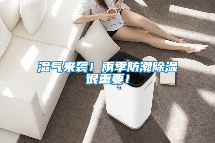 湿气来袭！雨季防潮除湿很重要！