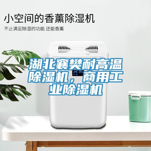 湖北襄樊耐高温除湿机，商用工业除湿机