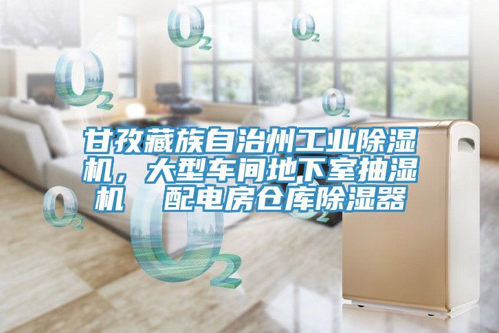 甘孜藏族自治州工业除湿机，大型车间地下室抽湿机  配电房仓库除湿器