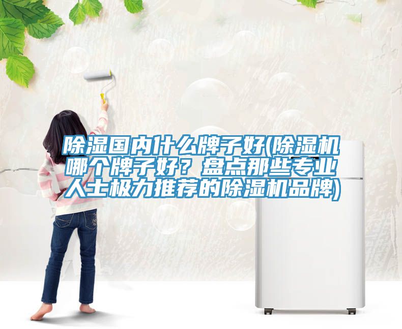 除湿国内什么牌子好(除湿机哪个牌子好？盘点那些专业人士极力推荐的除湿机品牌)