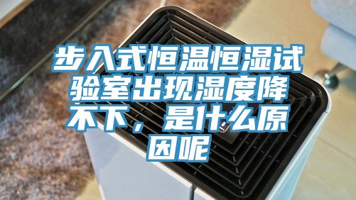 步入式恒温恒湿试验室出现湿度降不下，是什么原因呢