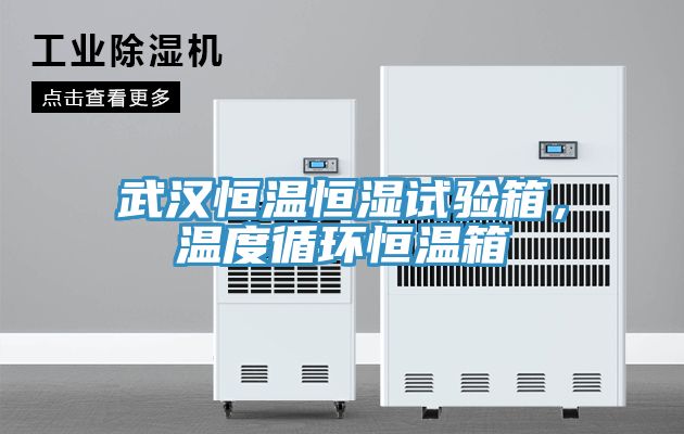 武汉恒温恒湿试验箱，温度循环恒温箱