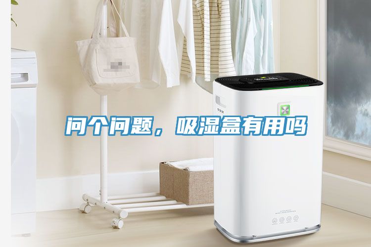 问个问题，吸湿盒有用吗