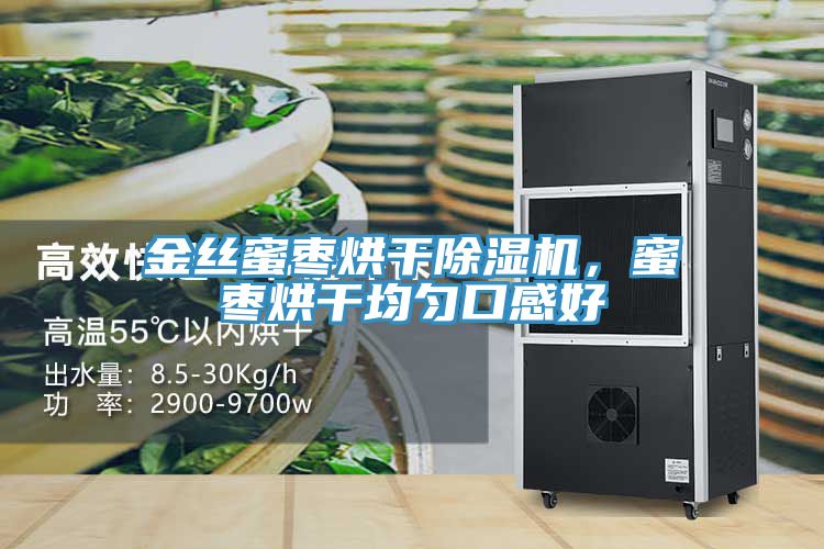 金丝蜜枣烘干除湿机，蜜枣烘干均匀口感好