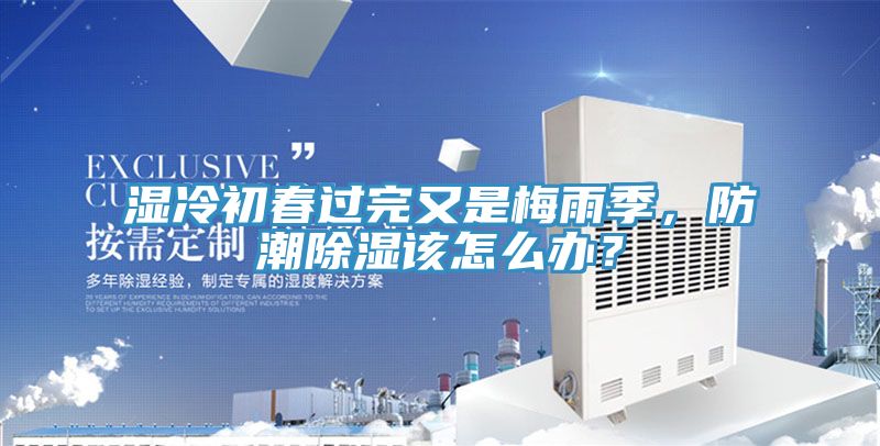 湿冷初春过完又是梅雨季，防潮除湿该怎么办？