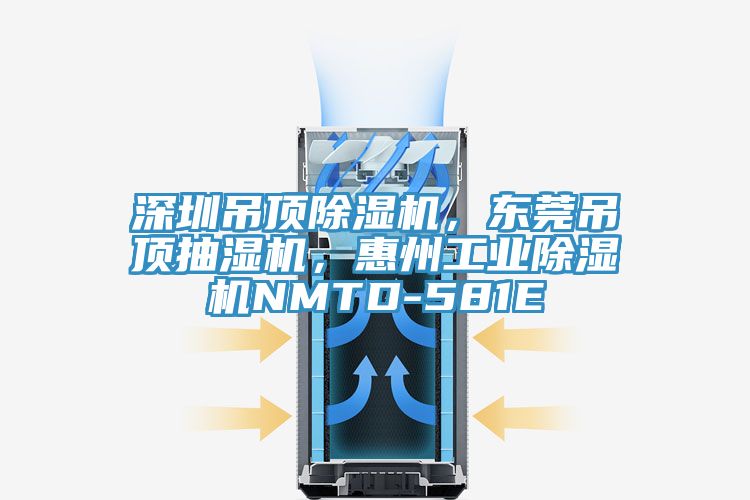 深圳吊顶除湿机，东莞吊顶抽湿机，惠州工业除湿机NMTD-581E