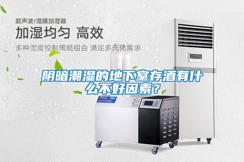 阴暗潮湿的地下室存酒有什么不好因素？