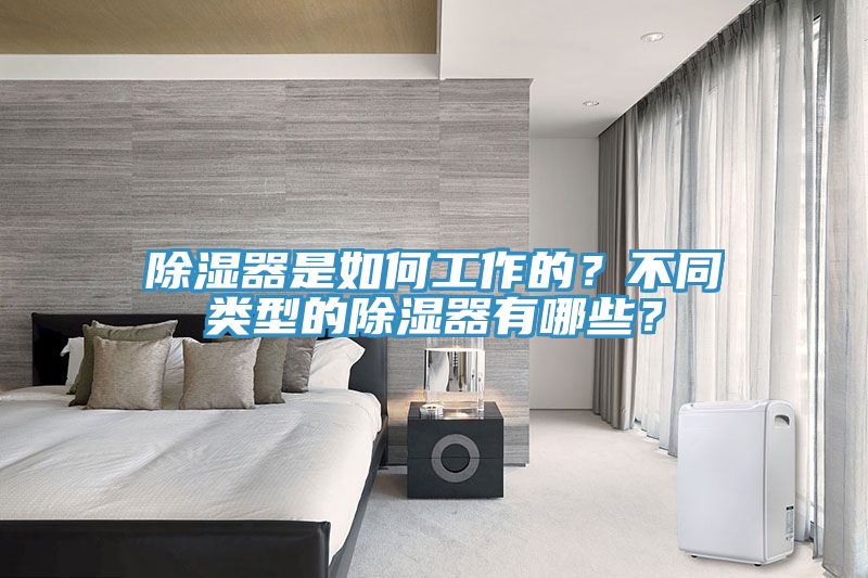 除湿器是如何工作的？不同类型的除湿器有哪些？