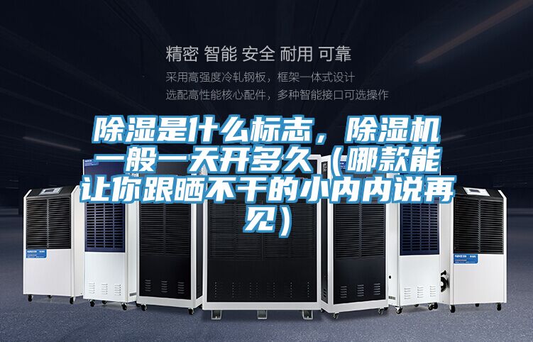 除湿是什么标志，除湿机一般一天开多久（哪款能让你跟晒不干的小内内说再见）