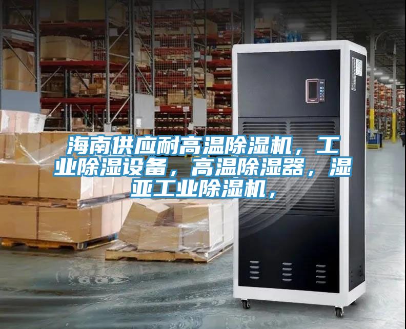 海南供应耐高温除湿机，工业除湿设备，高温除湿器，湿亚工业除湿机，