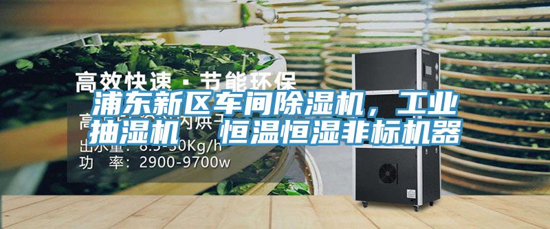 浦东新区车间除湿机，工业抽湿机  恒温恒湿非标机器